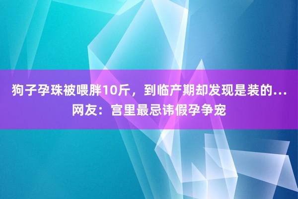 狗子孕珠被喂胖10斤，到临产期却发现是装的…网友：宫里最忌讳