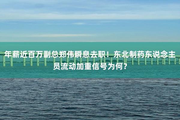 年薪近百万副总郑伟瞬息去职！东北制药东说念主员流动加重信号为何？