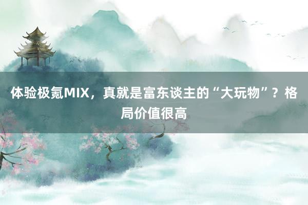 体验极氪MIX，真就是富东谈主的“大玩物”？格局价值很高