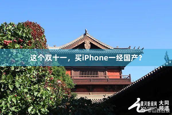 这个双十一，买iPhone一经国产？