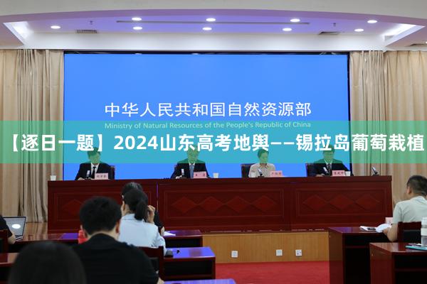 【逐日一题】2024山东高考地舆——锡拉岛葡萄栽植